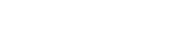 Partner 4